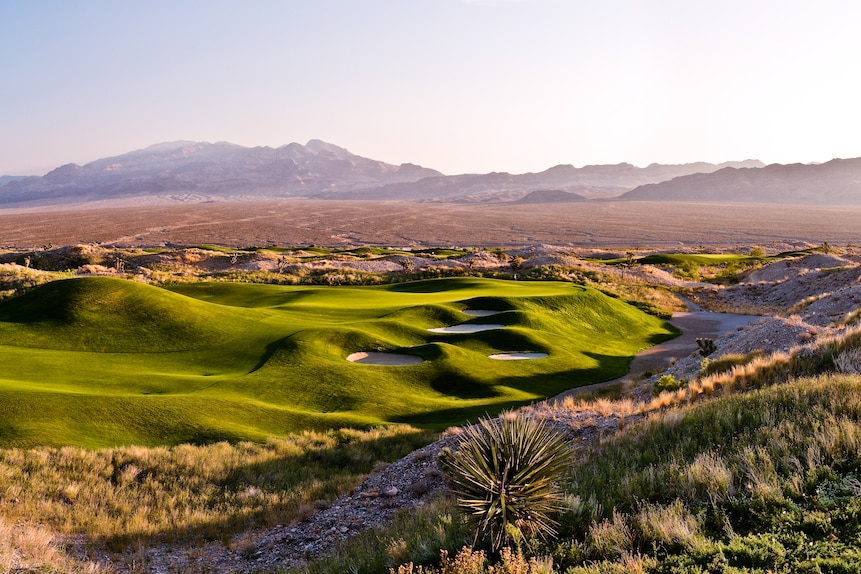 Las Vegas Paiute Golf Resort: Wolf